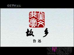 成人的美文朗诵视频,成人美文视频的深情演绎